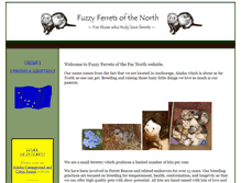 Tablet Screenshot of fuzzyferrets.com